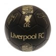 Liverpool FC Sig Gold Phantom Skill Ball
