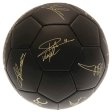 (image for) Liverpool FC Sig Gold Phantom Football