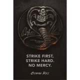 (image for) Cobra Kai Poster Metal 205