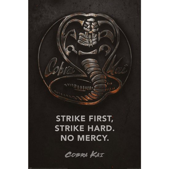 (image for) Cobra Kai Poster Metal 205