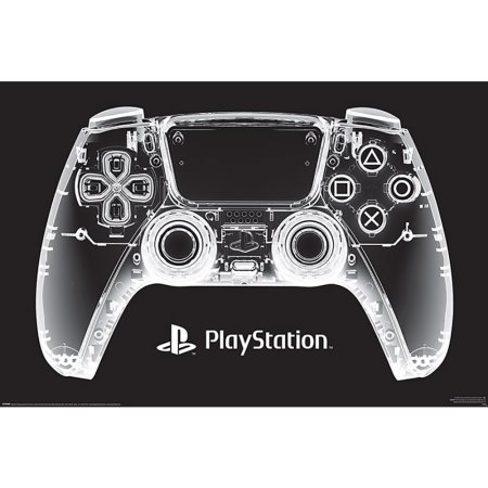 (image for) PlayStation Poster X-Ray Pad 230