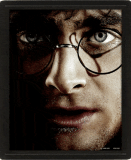 (image for) Harry Potter Framed 3D Picture