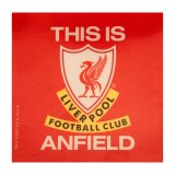 (image for) Liverpool FC TIA Car Sticker