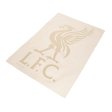 (image for) Liverpool FC Liverbird A4 Car Decal