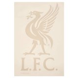 (image for) Liverpool FC Liverbird A4 Car Decal