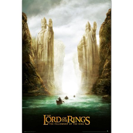 (image for) The Lord Of The Rings Poster Fellowship 25