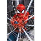 (image for) Spider-Man Poster Gotcha 99