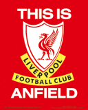 (image for) Liverpool FC 3D Print