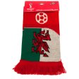 (image for) FIFA World Cup Qatar 2022 Wales Scarf