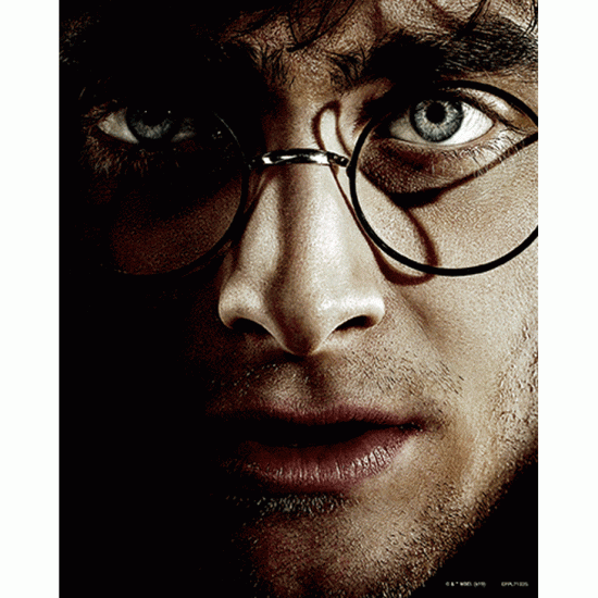 (image for) Harry Potter 3D Print
