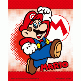 (image for) Super Mario 3D Print