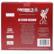 (image for) Liverpool FC Football's Finest Alisson Becker Premium 60cm Statue