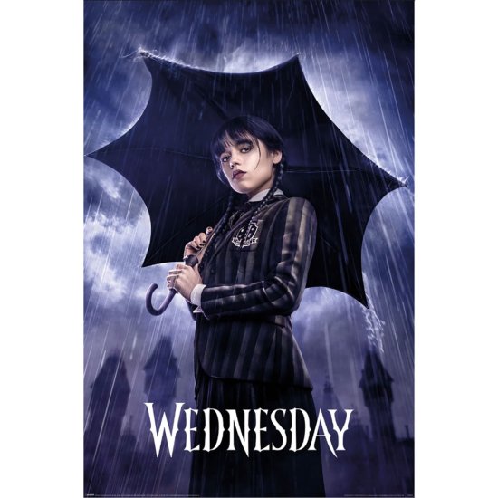 (image for) Wednesday Poster Downpour 246