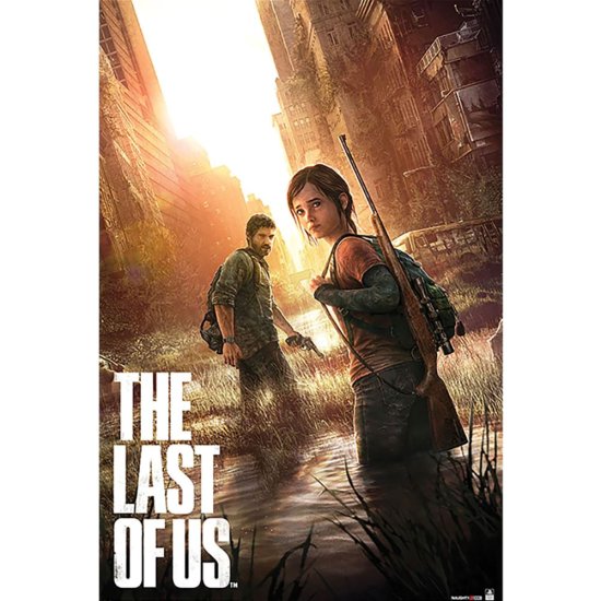 (image for) The Last Of Us Poster 142