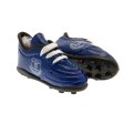 (image for) Everton FC Mini Football Boots