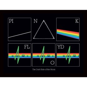 (image for) Pink Floyd Picture Heartbeat 16 x 12