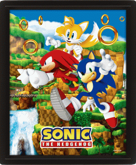 (image for) Sonic The Hedgehog Framed 3D Picture