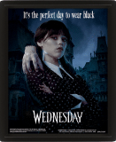 (image for) Wednesday Framed 3D Picture