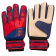 (image for) FC Barcelona Goalkeeper Gloves Yths DT