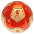 (image for) Liverpool FC Sig 26 Football