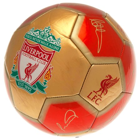 (image for) Liverpool FC Sig 26 Football