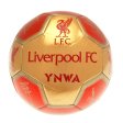 (image for) Liverpool FC Sig 26 Skill Ball