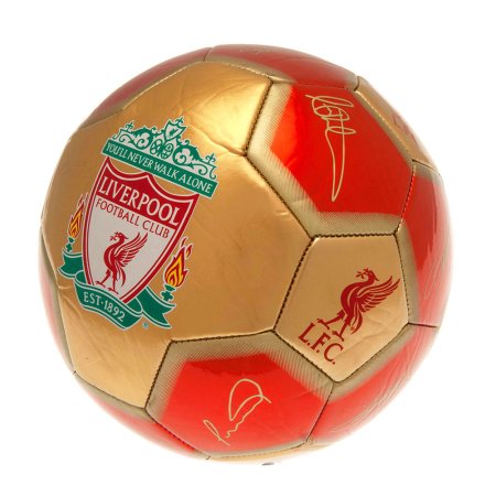 (image for) Liverpool FC Sig 26 Skill Ball