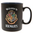 (image for) Harry Potter Heat Changing Mega Mug Letter