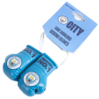 (image for) Manchester City FC Mini Boxing Gloves