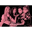 Blackpink Poster Group 3