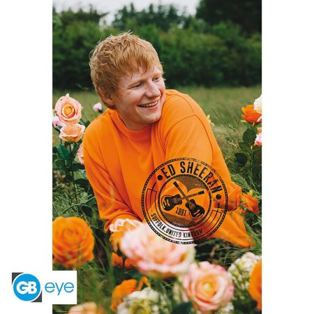 (image for) Ed Sheeran Poster Field 90