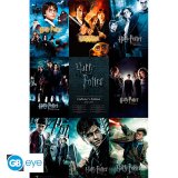 Harry Potter Poster Collection 112