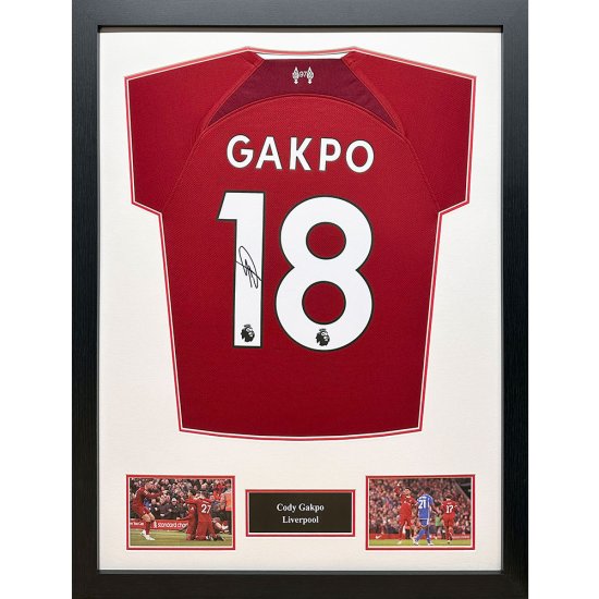 (image for) Liverpool FC Gapko Signed Shirt (Framed)
