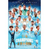 (image for) Manchester City FC Premier league Champions Poster 194