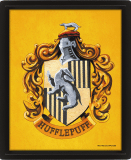 (image for) Harry Potter Hufflepuff Framed 3D Picture