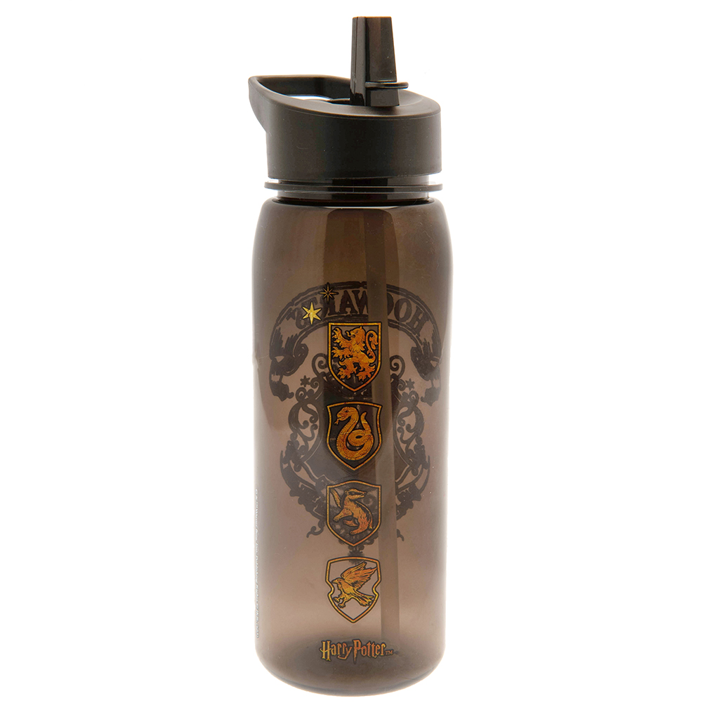 Harry Potter Flip Top Drinks Bottle