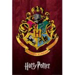 Harry Potter 2 Piece PU Wash Bag Set