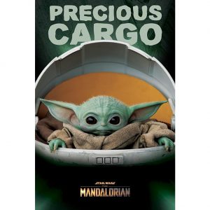 Star Wars The Mandalorian Poster Precious Cargo 168