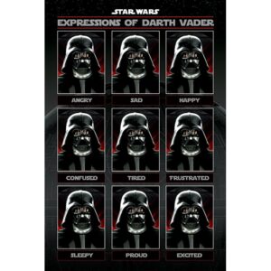 Star Wars Poster Vader Expressions 68