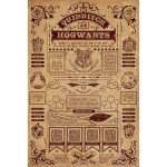 Harry Potter Poster Hogwarts Quidditch 173