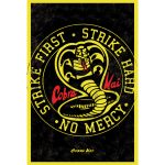 Cobra Kai Poster Emblem 224