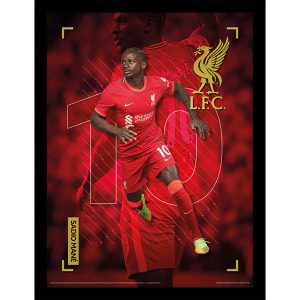 Liverpool FC Picture Mane 16 x 12